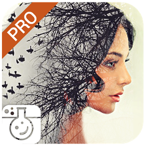 Photo Lab PRO Picture Editor Premium PATCHED APK