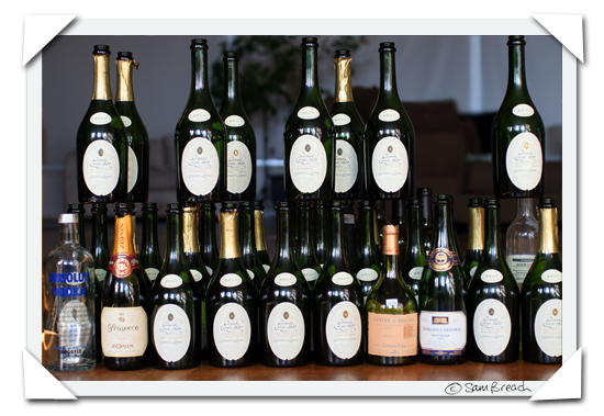picture photograph of empty bottles after a party 2007 copyright of sam breach http://becksposhnosh.blogspot.com/
