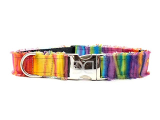 Sunset Shimmer Dog Collar - posh puppy boutique