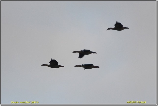 Draycote Waters - January Draycote Waters - January