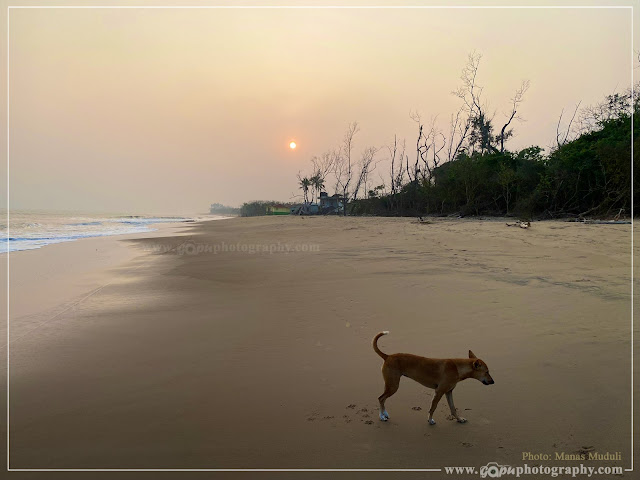 Habalikhati Nature Camp, Bhitarakanika, Kendrapapra