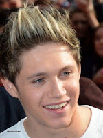NIALL HORAN (ONE DIRECTION)