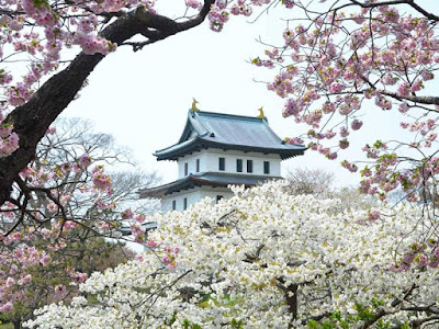 Du lịch mùa xuân Nhật Bản