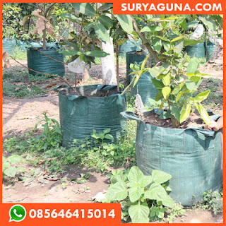 planter bag dari suryaguna 085646415014