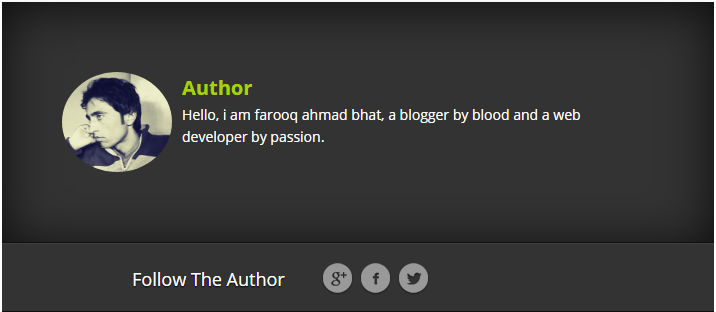 Author Bio Box for Blogger Blogs