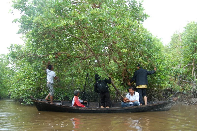 Ekspedisi Hulu Sungai Bokor  Attayaya Blog