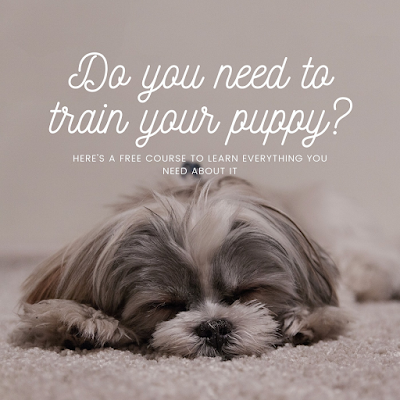Free Course Trainer for Your Puppy Dog: A Comprehensive Guide