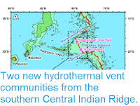 http://sciencythoughts.blogspot.co.uk/2012/03/two-new-hydrothermal-vent-communities.html