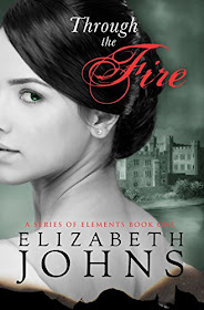 Through the Fire (A Series of Elements Book 1) by Elizabeth Johns