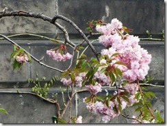 15-april-(10)