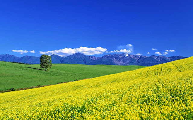 spring landscape photo hd, spring landscape image, spring landscape picture, spring landscape background, spring landscape desktop pc wallpaper, spring landscape high quality wallpaper