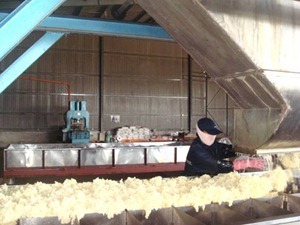 20110516202039_rubber165[1]