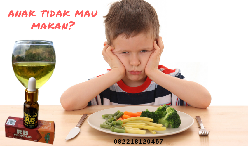 11 Cara  Mengatasi Anak  Susah Makan  manfaat propolis 