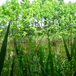 View album