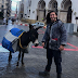 Traversée de l’Algérie avec un âne: le challenge qui passe mal sur les réseaux sociaux