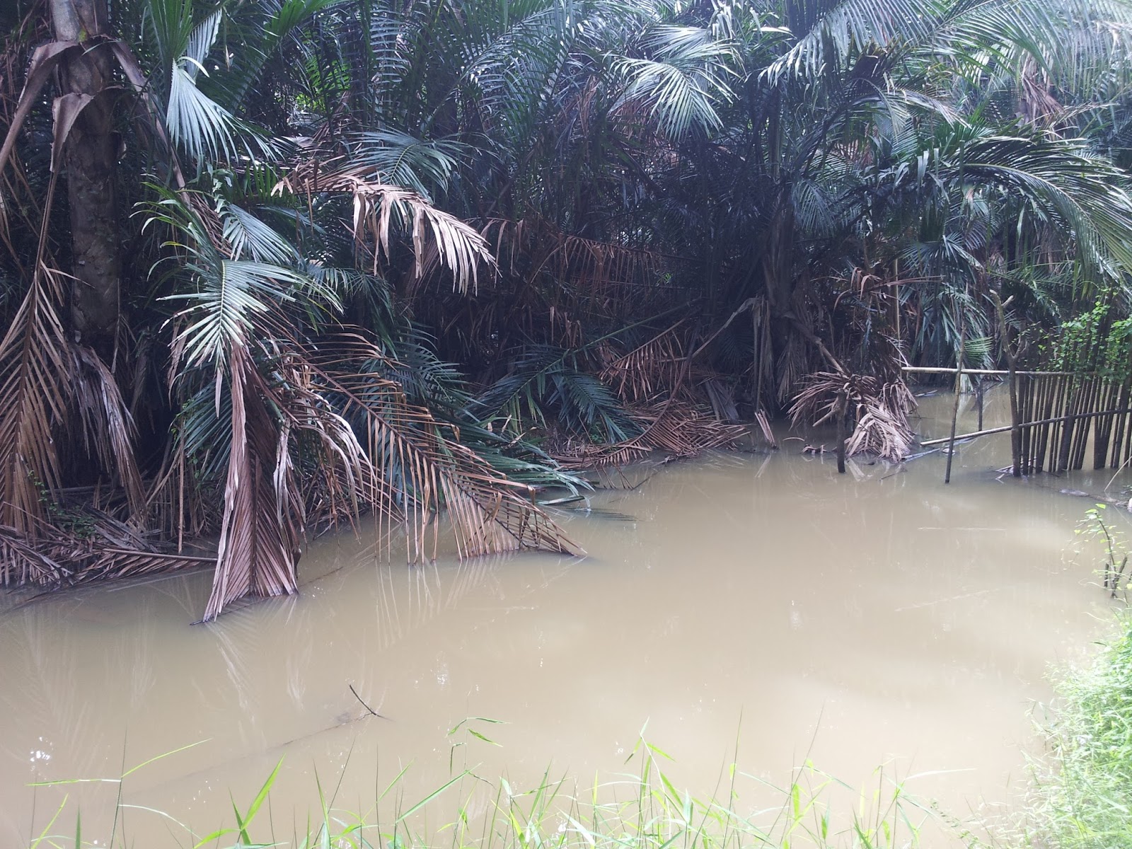 Belimbing Hilir: Sungai Kampung Belimbing Tidak Seindah Dulu