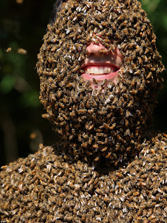 man with bee beard