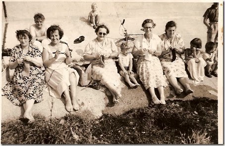 seawall knitters