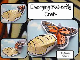 butterfly life cycle