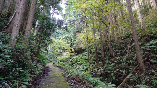 鳥取県日野郡日野町金持 金持神社