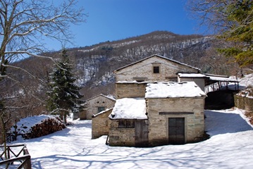 39-Versaia