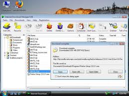 Internet Download Manager IDM