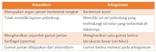 perbedaan anteridium dan arkegonium