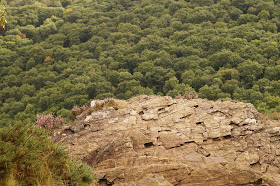 Castle Drogo and Fingle bridge walk