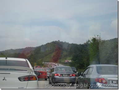 Picture 099