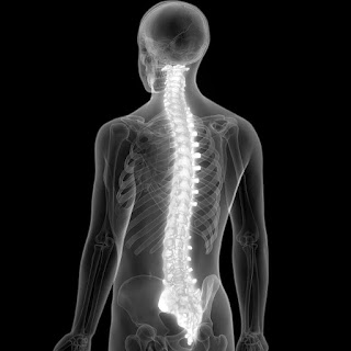 Gratis: Tema 1 del Curso de Radiología de Columna Vertebral para Medicina Ocupacional y Atencion Primaria en Salud