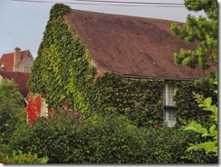 DSC01554