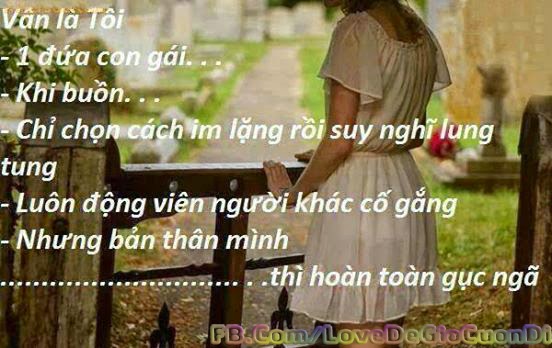  Ao thun cong nhan 