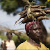 Penduduk Afrika Barat Mulai Makan Singkong