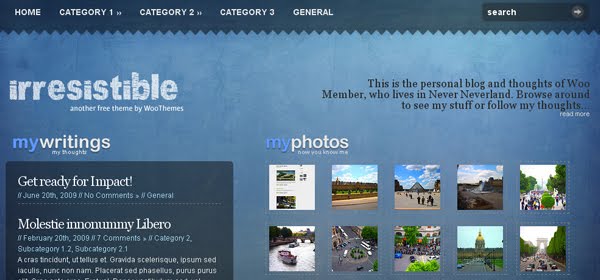 Irresistible Wordpress Theme