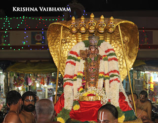 Ippasi,Sesha vahanam, Manavala Maamunigal,Purappadu,2016, Video, Divya Prabhandam,Triplicane,Thiruvallikeni,Utsavam,