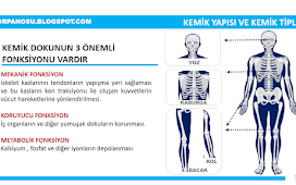 Spor Anatomisine Giriş 7