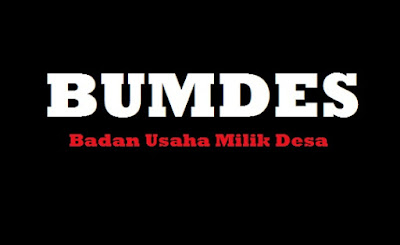 Bisnis Apa yang cocok untuk BUMDes Pemula