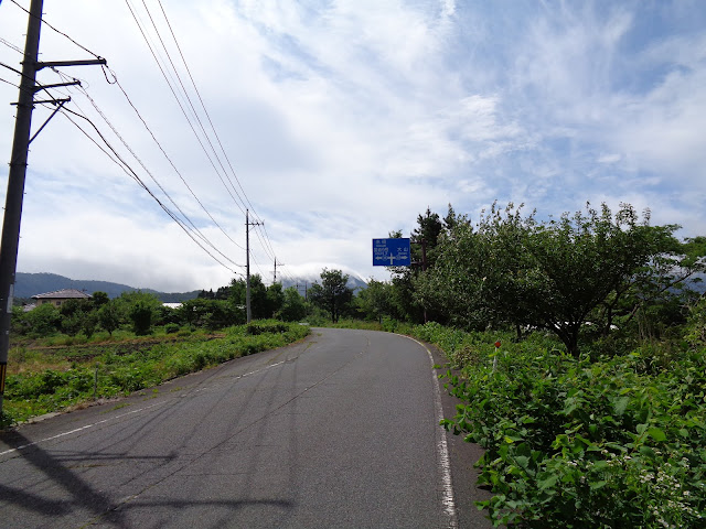 県道305号線の大山佐摩線