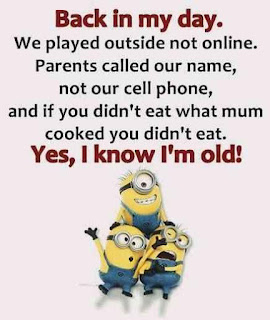 funny minion quotes images and pics about love and life 13