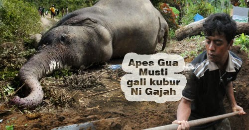 20 Cerita Humor Lucu Pendek Paling Kocak