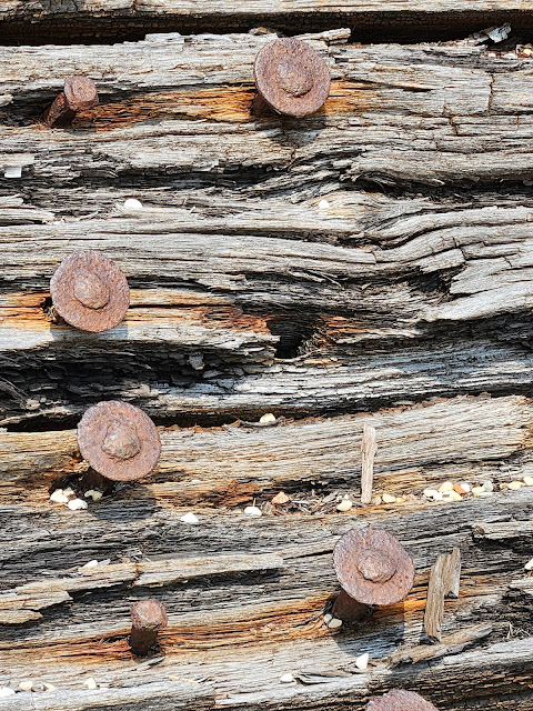 nails in Lottie Cooper Shipwreck