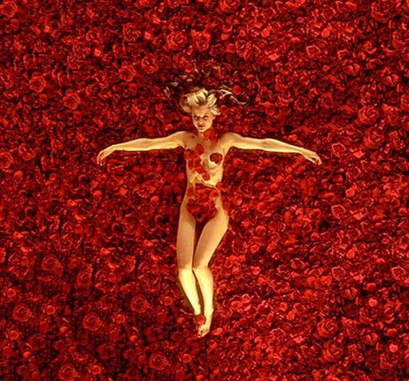 American on And Screenplay Reviews  Unconventional Week   American Beauty