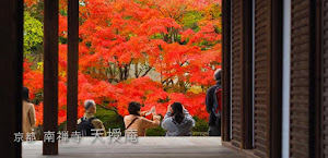 [京都] 南禅寺「天授庵」の紅葉