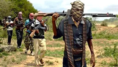 Farm Manager Killed, Two Abducted in Niger State Bandit Attack-OXYGIST