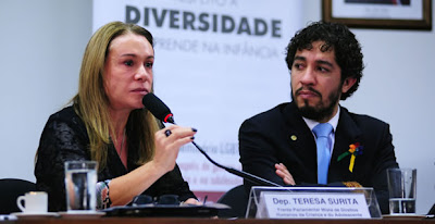 Dep. Teresa Surita (PMDB-RR, da Frente Parlamentar Mista de Direios Humanos) e dep. Jean Wyllys (PSOL-RJ, coordenador da Frente Parlamentar Mista pela Cidadania LGBT) (Foto: Alexandra Martins/Agência Câmara)