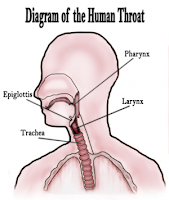 Dry cough : Tips Not to Treat Cough with phlegm