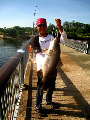 Barramundi also know as Kim Bak Lor 金目鲈 or Siakap weighing 5kg plus Caught by Rashid At Woodland Jetty Fishing Hotspots was created to share with those who are interested in fishing on tips and type of fishes caught around Woodland Jetty Fishing Hotspots.