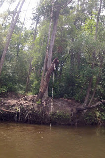 Milton FL river trips