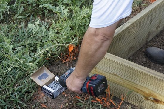 How to Build a Raised Garden Box