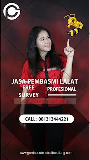 Garda Pest Control Jasa Pembasmi Tawon dan Lebah di Bandung
